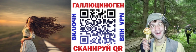 Псилоцибиновые грибы Psilocybe  blacksprut как зайти  Плёс 
